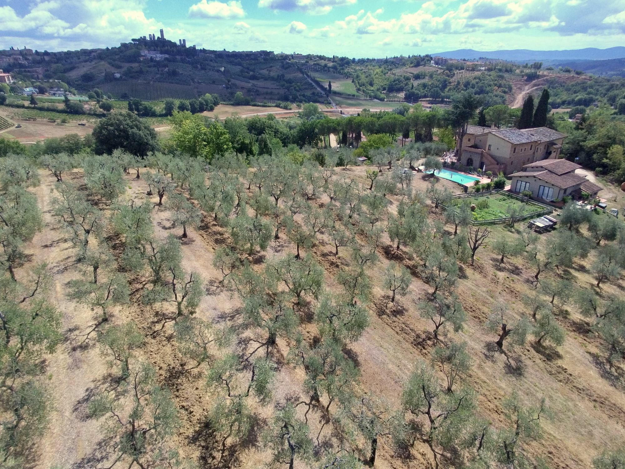 Agriturismo I Pini Сан-Джиминьяно Экстерьер фото